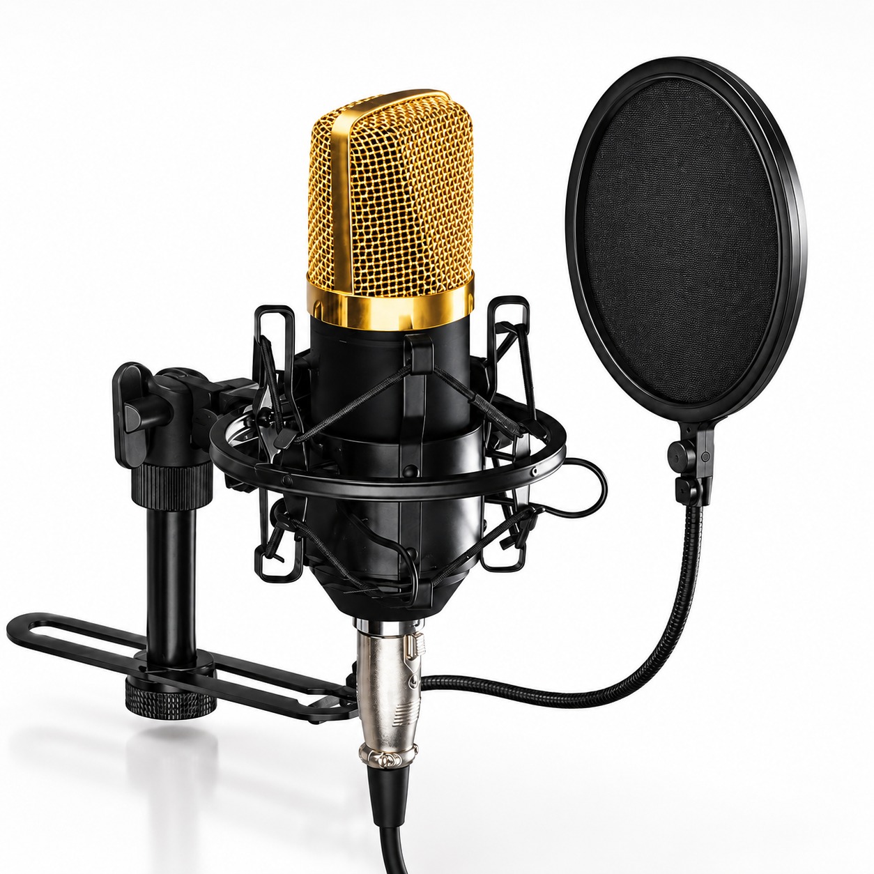 MICROFONO PROFESIONAL Q-MIC3
