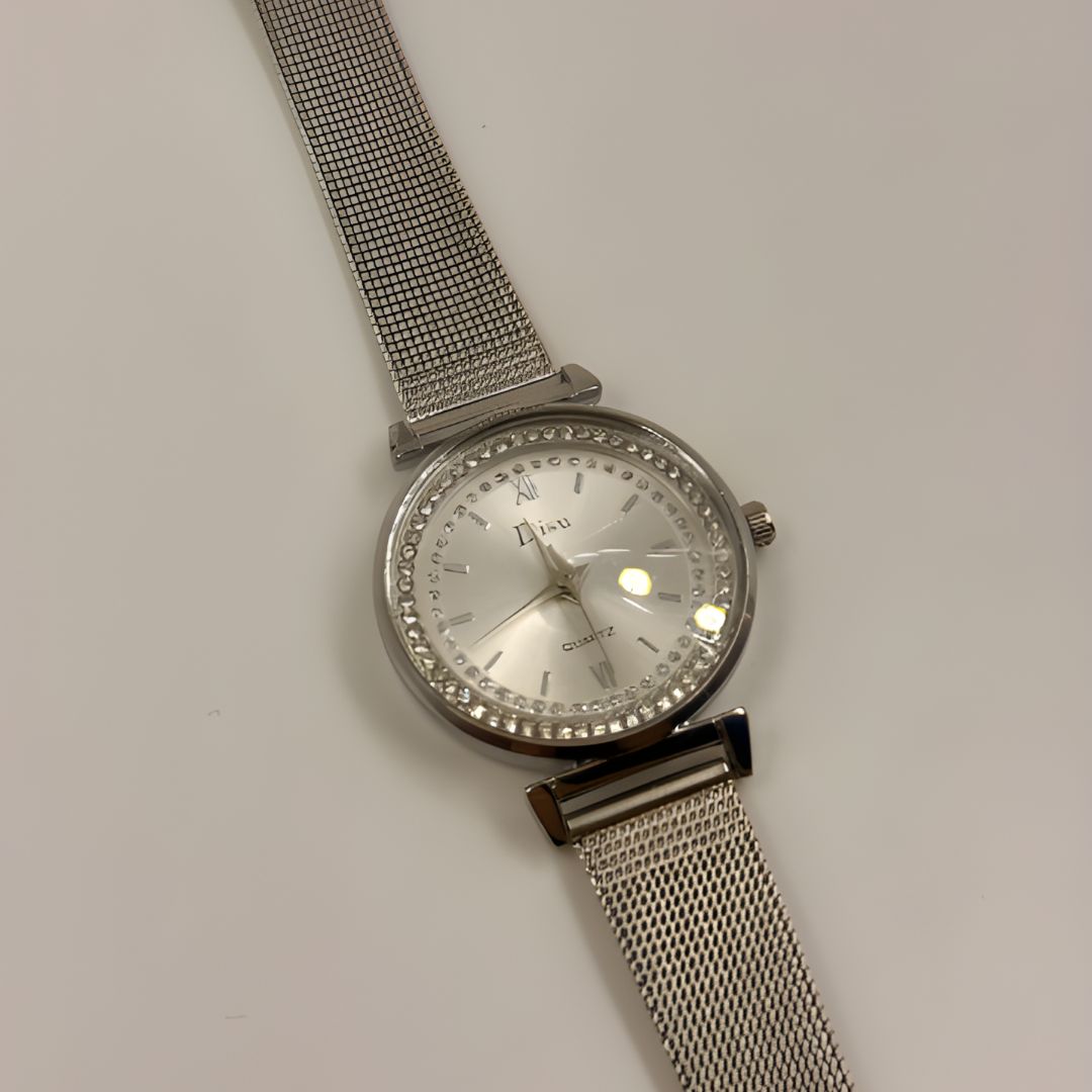 RELOJ DAMA DISU PLATA