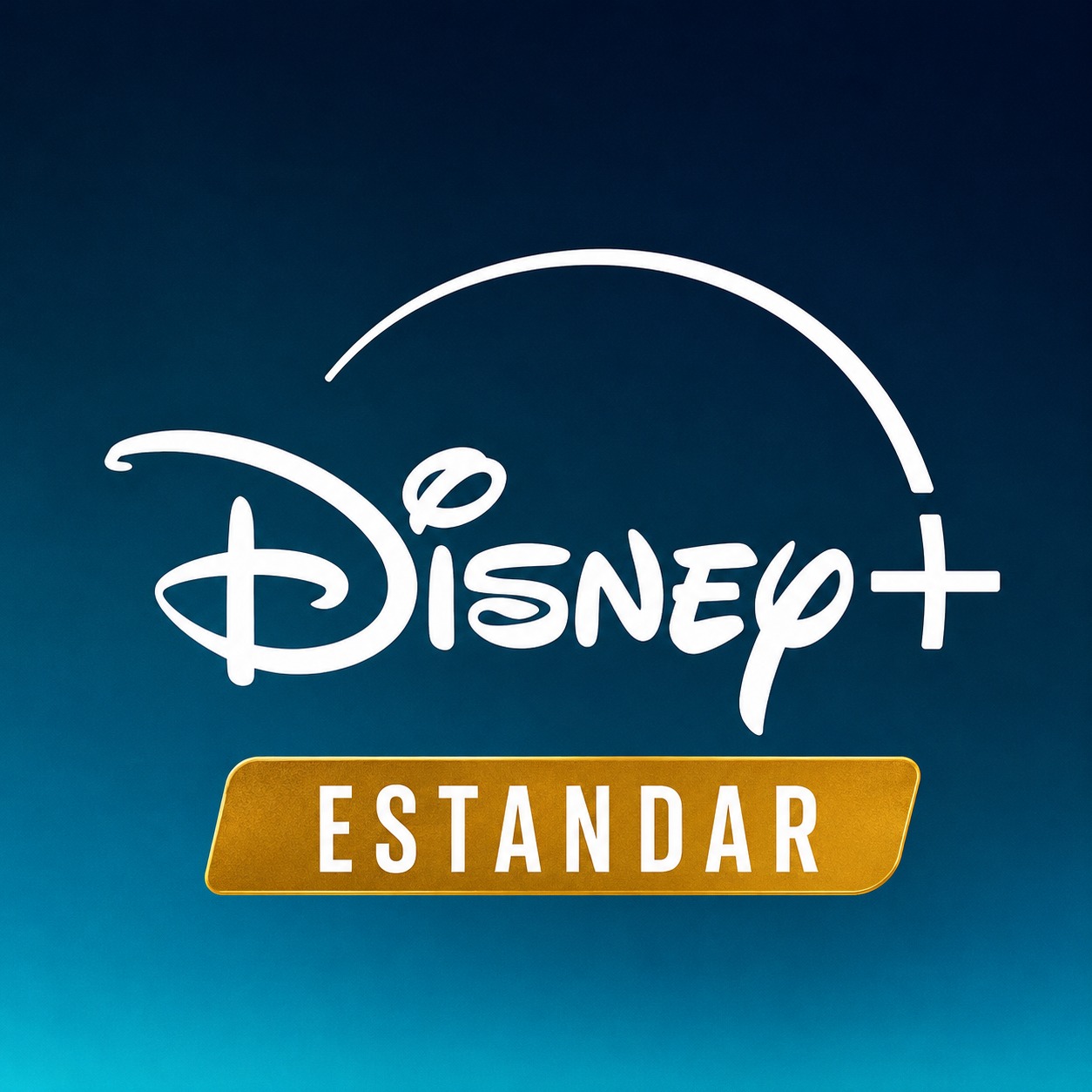 DISNEY STANDAR 1 PANTALLA